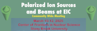 Polarized Ion Sources and Beams at EIC, Community wide meeting